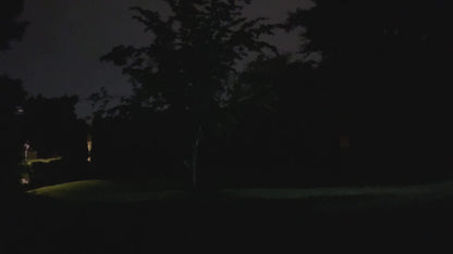 LED Rifle & Handheld, 18650 - BUNDLE!